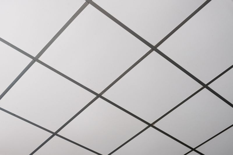 Suspended Ceiling Grid